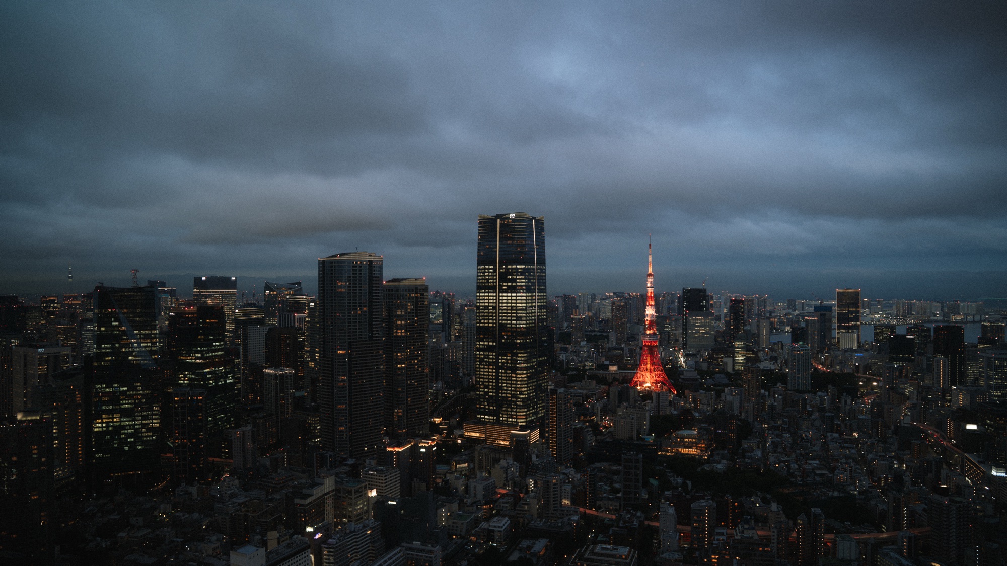 Tokyo Toyer View